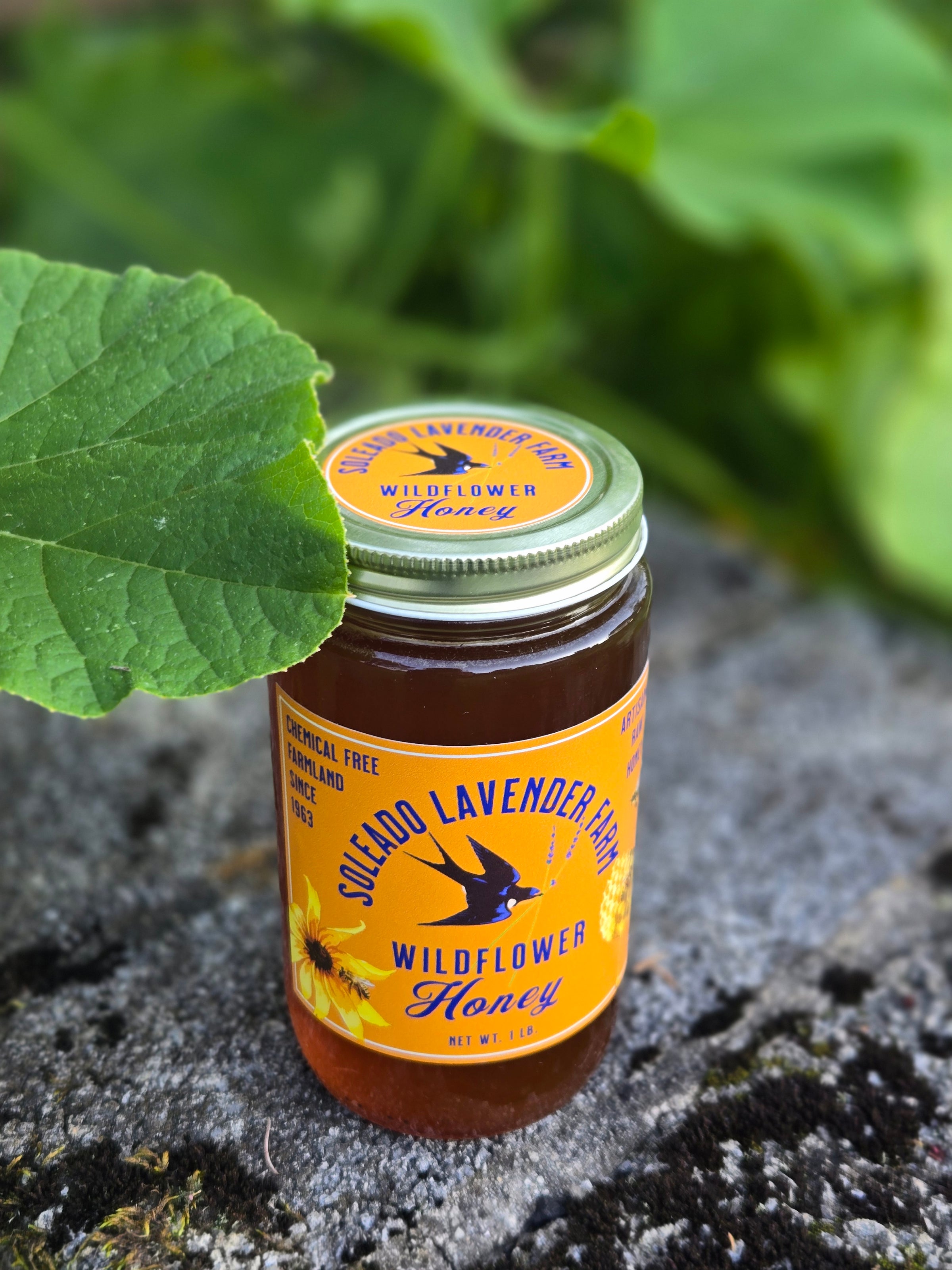 Soleado Wildflower Honey | Soleado Lavender Farm LLC.