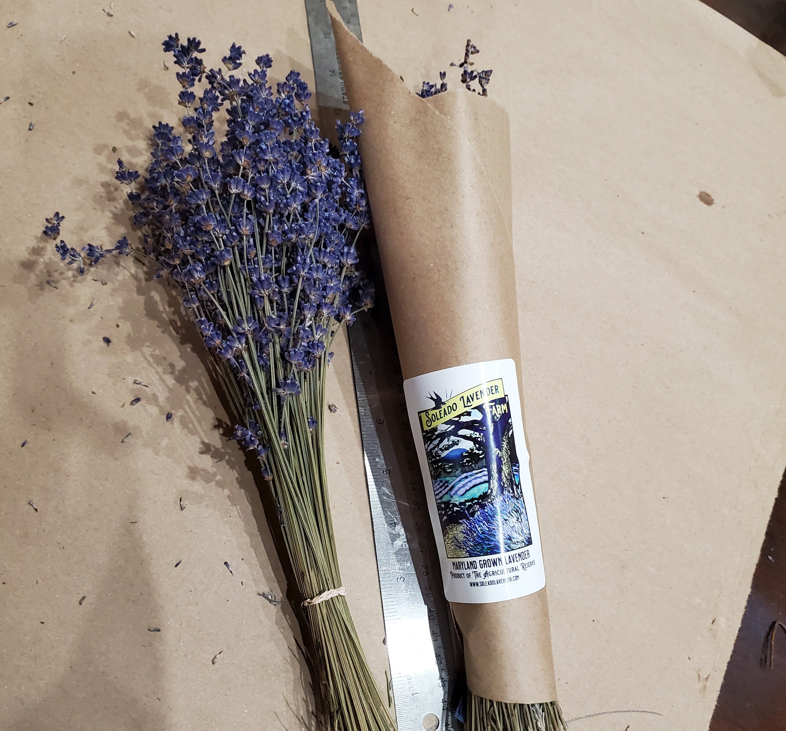 Dried Lavender Bouquets - English